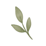 Leaf Icon